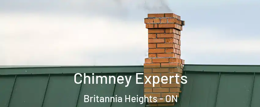  Chimney Experts Britannia Heights - ON