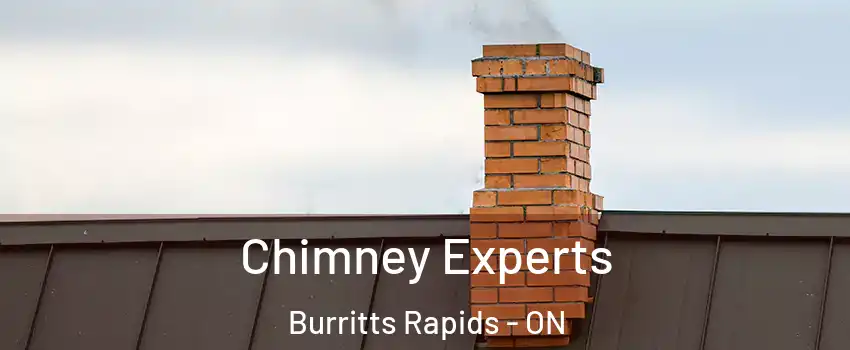  Chimney Experts Burritts Rapids - ON