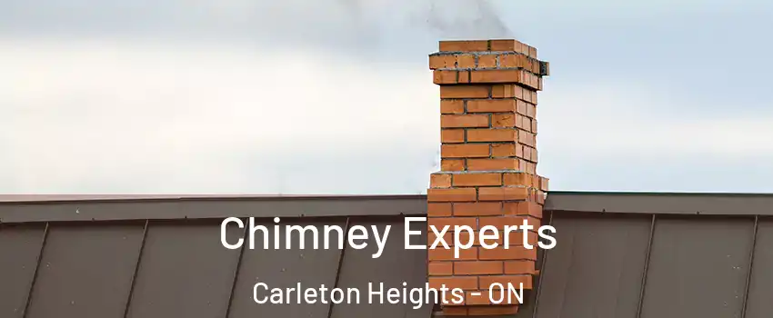  Chimney Experts Carleton Heights - ON