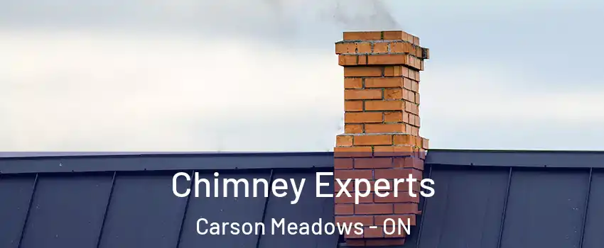  Chimney Experts Carson Meadows - ON