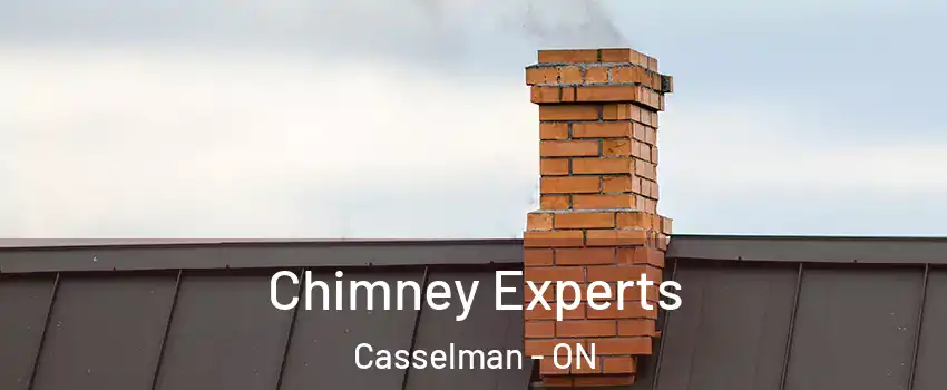  Chimney Experts Casselman - ON