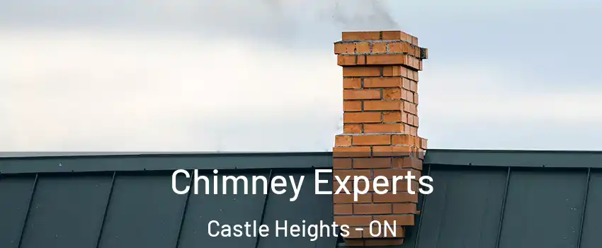  Chimney Experts Castle Heights - ON