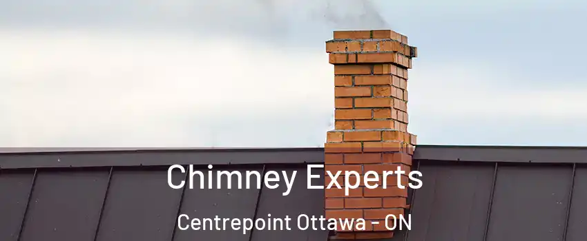  Chimney Experts Centrepoint Ottawa - ON