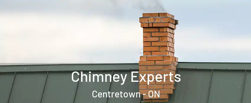  Chimney Experts Centretown - ON