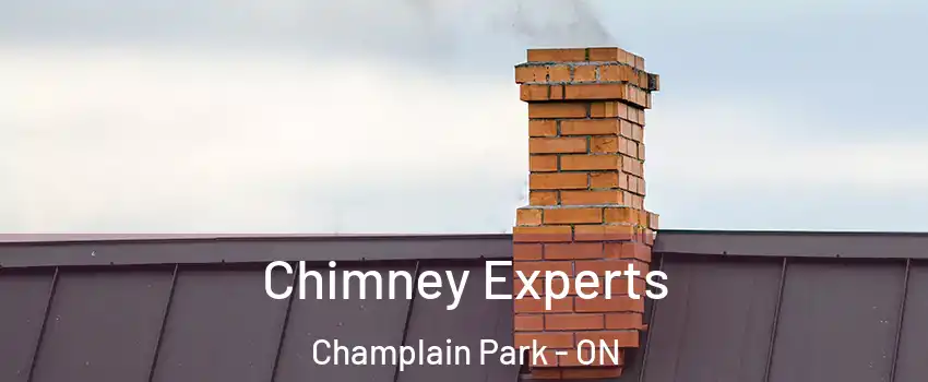  Chimney Experts Champlain Park - ON