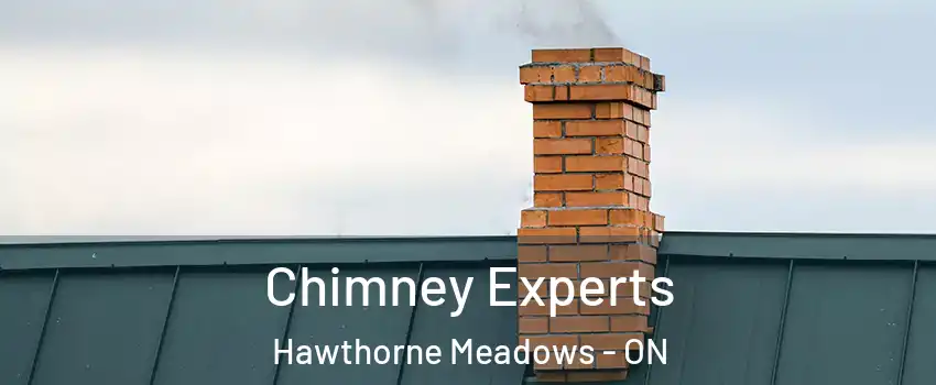  Chimney Experts Hawthorne Meadows - ON