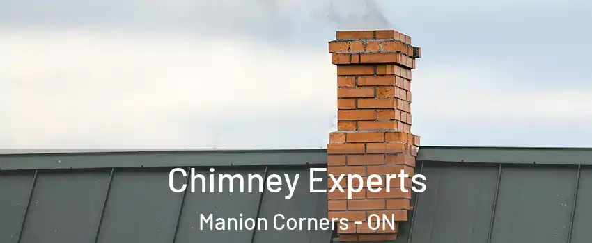  Chimney Experts Manion Corners - ON