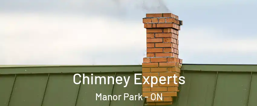  Chimney Experts Manor Park - ON