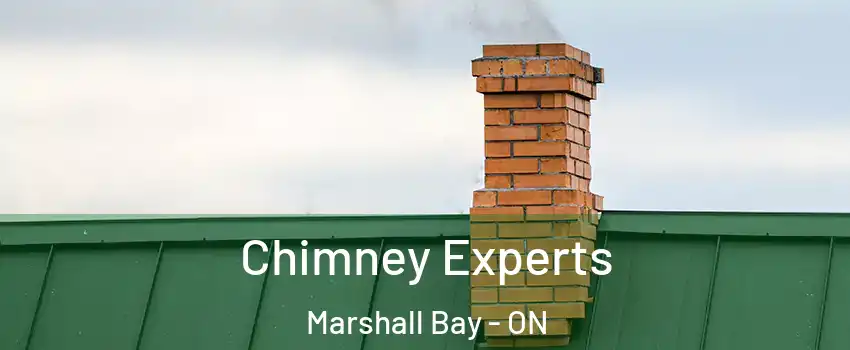  Chimney Experts Marshall Bay - ON