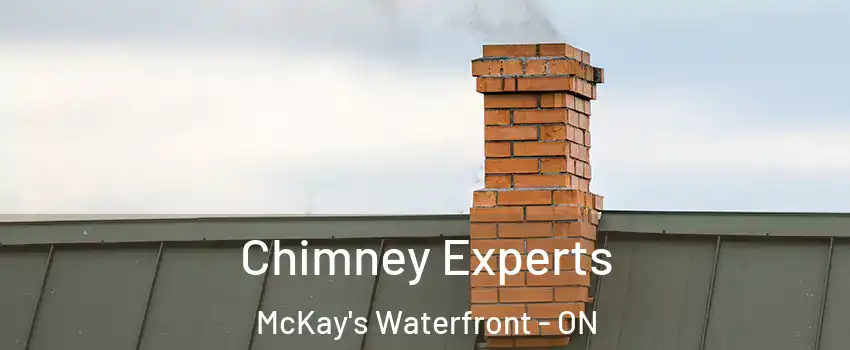  Chimney Experts McKay's Waterfront - ON