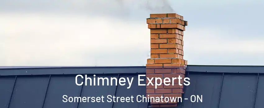  Chimney Experts Somerset Street Chinatown - ON