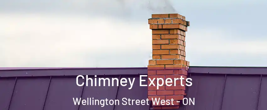  Chimney Experts Wellington Street West - ON