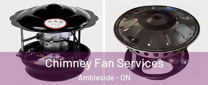  Chimney Fan Services Ambleside - ON