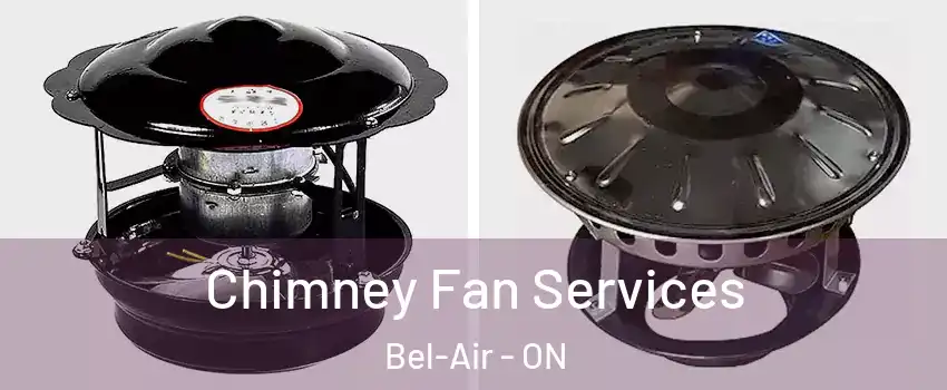  Chimney Fan Services Bel-Air - ON