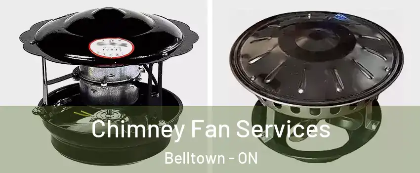  Chimney Fan Services Belltown - ON