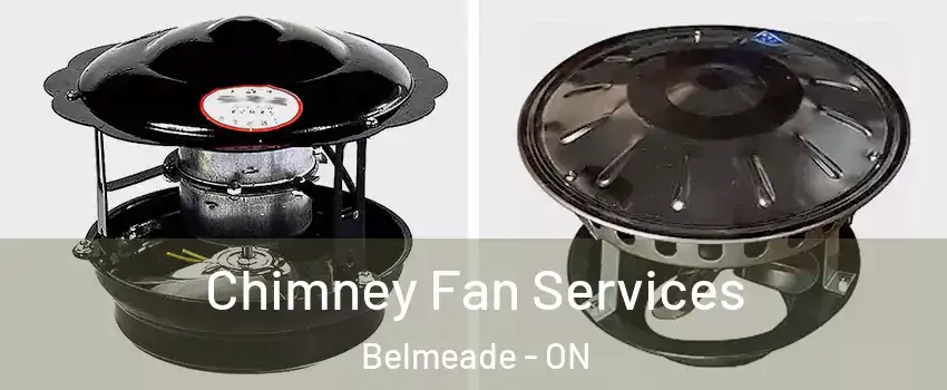  Chimney Fan Services Belmeade - ON