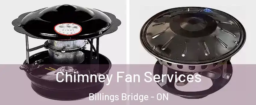  Chimney Fan Services Billings Bridge - ON