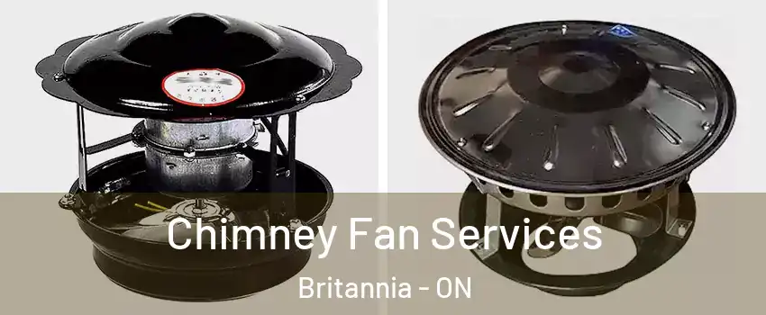  Chimney Fan Services Britannia - ON