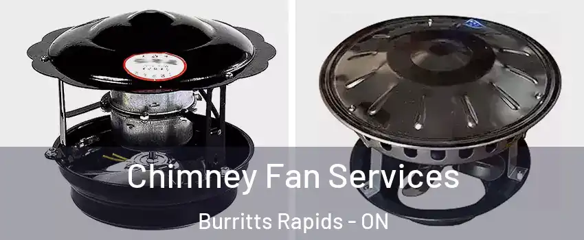  Chimney Fan Services Burritts Rapids - ON