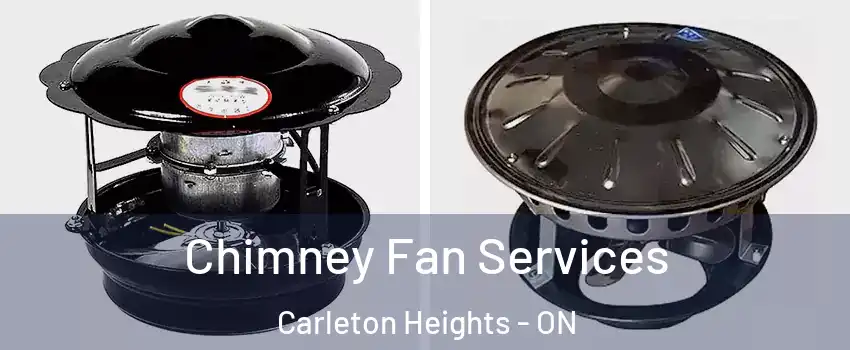  Chimney Fan Services Carleton Heights - ON