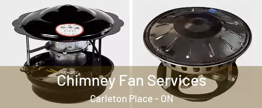  Chimney Fan Services Carleton Place - ON