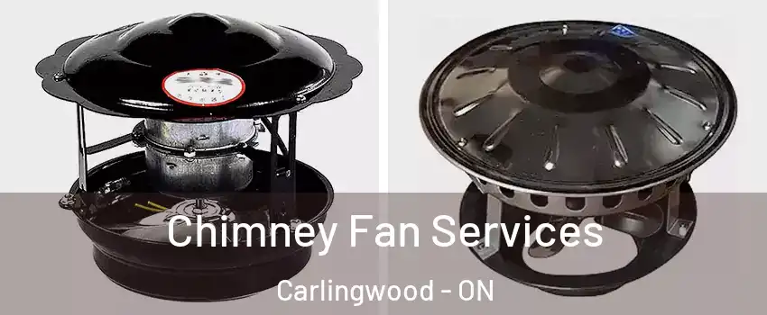  Chimney Fan Services Carlingwood - ON