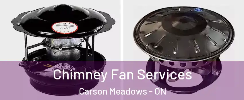  Chimney Fan Services Carson Meadows - ON