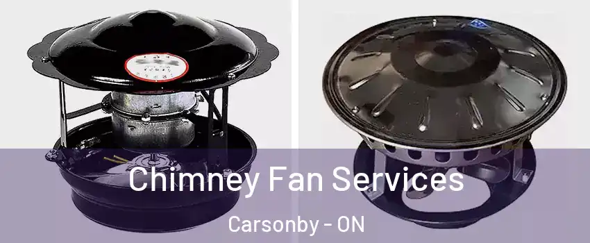  Chimney Fan Services Carsonby - ON