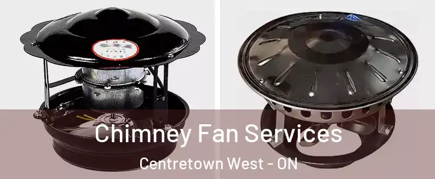  Chimney Fan Services Centretown West - ON