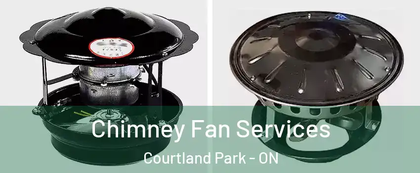  Chimney Fan Services Courtland Park - ON