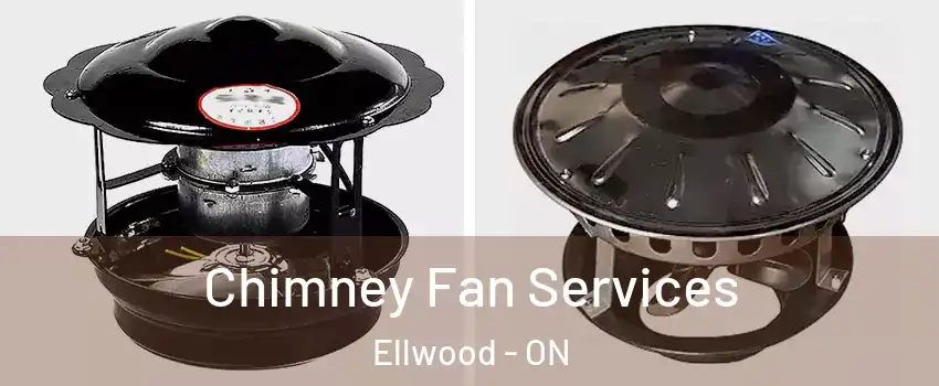  Chimney Fan Services Ellwood - ON