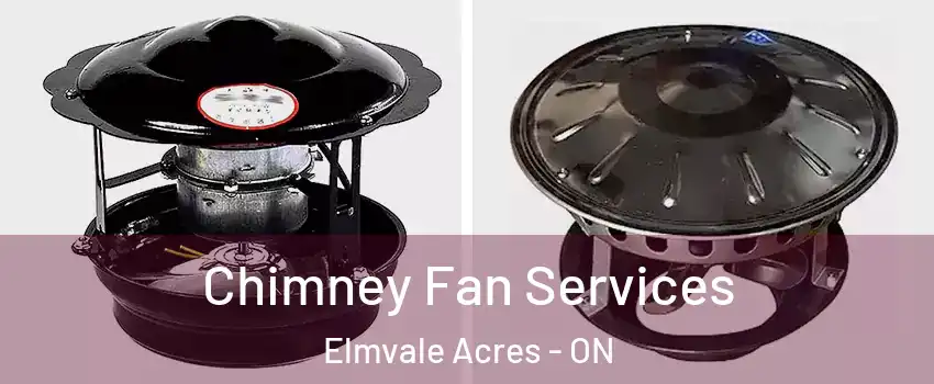  Chimney Fan Services Elmvale Acres - ON