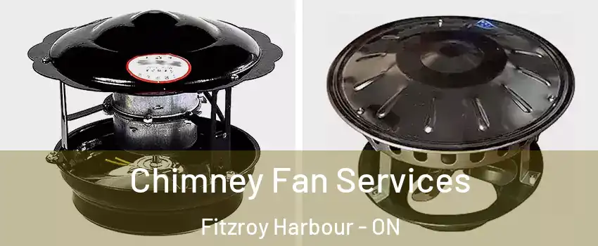  Chimney Fan Services Fitzroy Harbour - ON