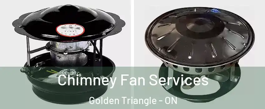  Chimney Fan Services Golden Triangle - ON