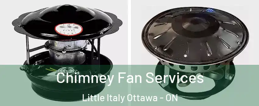  Chimney Fan Services Little Italy Ottawa - ON