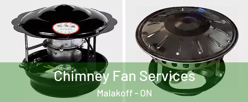  Chimney Fan Services Malakoff - ON