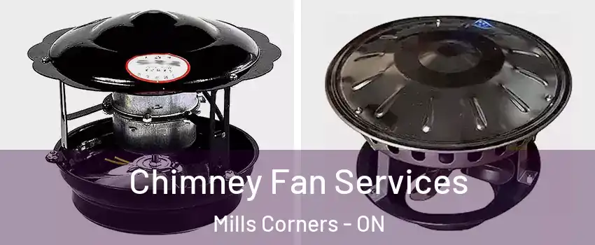  Chimney Fan Services Mills Corners - ON