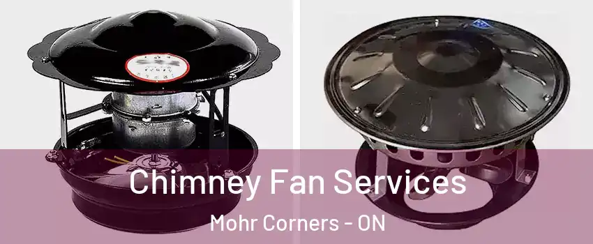  Chimney Fan Services Mohr Corners - ON