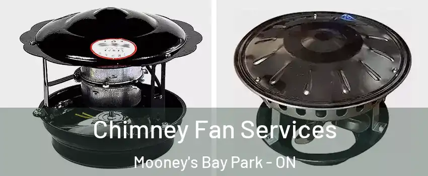  Chimney Fan Services Mooney's Bay Park - ON