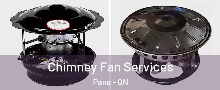  Chimney Fan Services Pana - ON