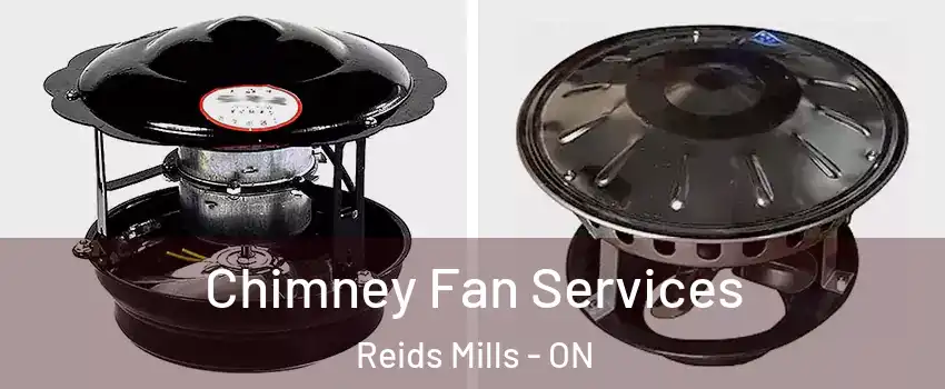  Chimney Fan Services Reids Mills - ON