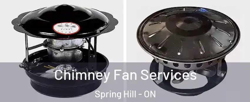  Chimney Fan Services Spring Hill - ON