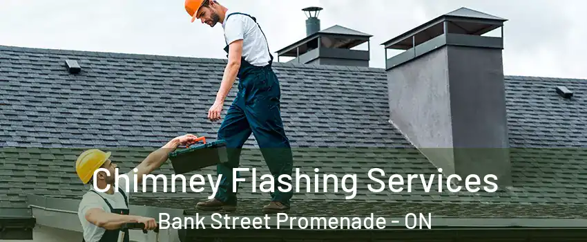  Chimney Flashing Services Bank Street Promenade - ON