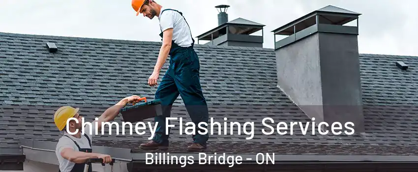  Chimney Flashing Services Billings Bridge - ON