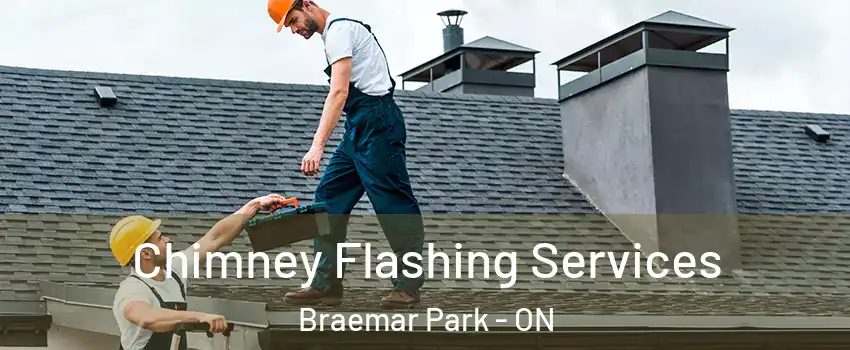  Chimney Flashing Services Braemar Park - ON