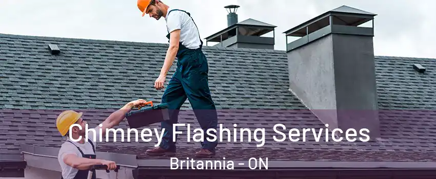  Chimney Flashing Services Britannia - ON