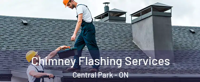  Chimney Flashing Services Central Park - ON