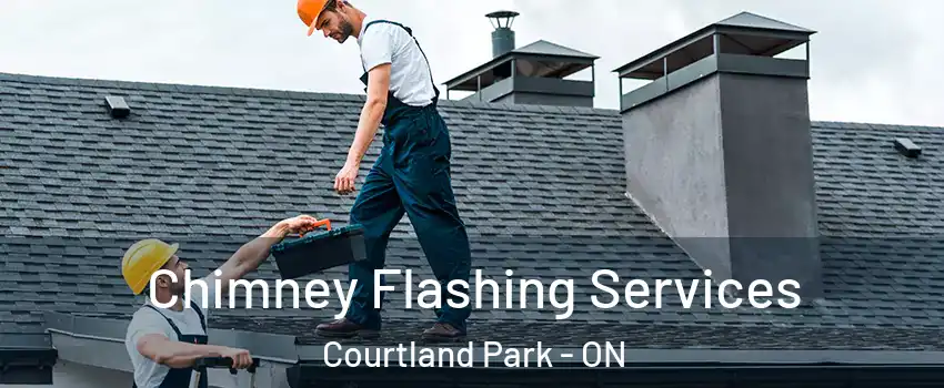  Chimney Flashing Services Courtland Park - ON