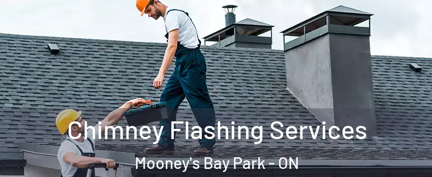  Chimney Flashing Services Mooney's Bay Park - ON