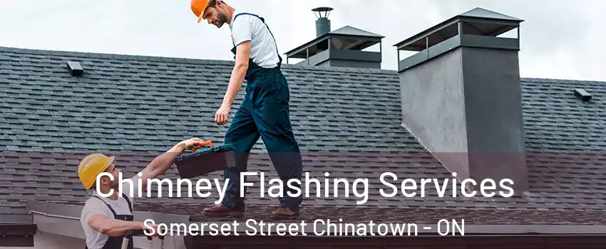  Chimney Flashing Services Somerset Street Chinatown - ON